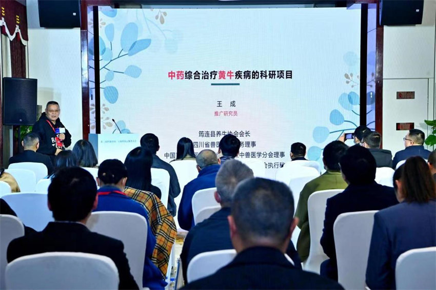 “中药综合治疗黄牛疾病的科研项目”路演现场。筠连县融媒体中心供图