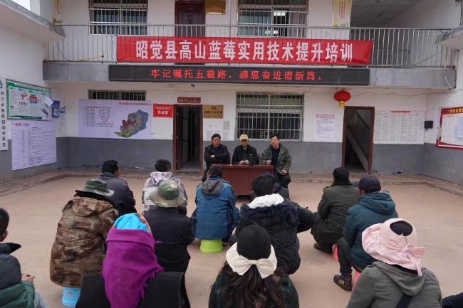 培訓會現場。受訪者供圖