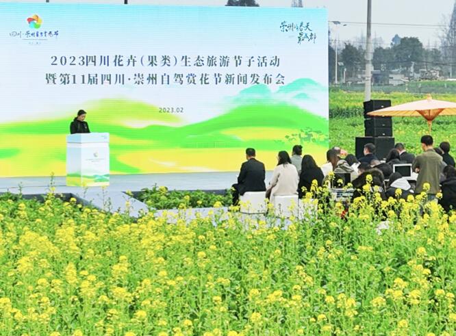 新闻发布会现场。人民网 王波摄