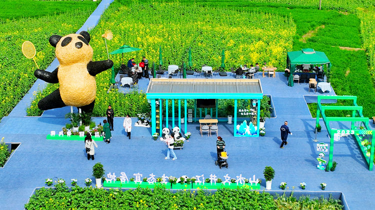 道明竹艺村赏花节一号营地。崇州市委宣传部供图