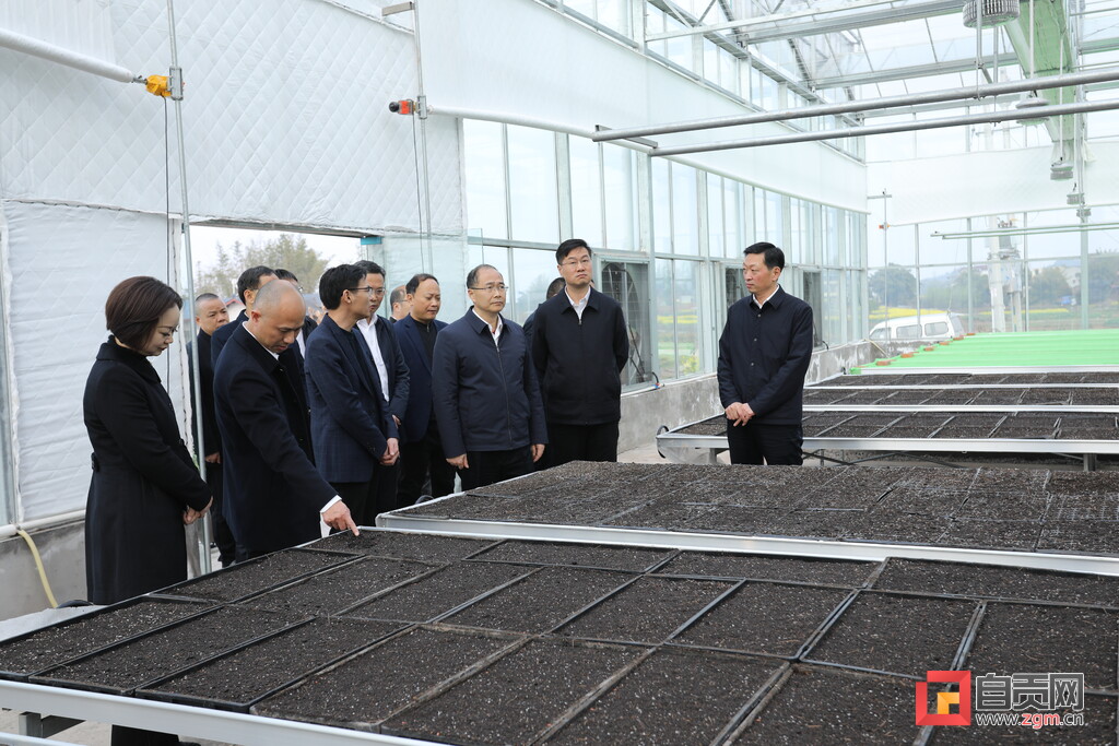 副省长胡云调研富顺县代寺镇丰光村集中育秧中心