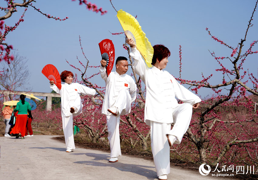 金鸡独立，桃花美丽。潘建勇摄