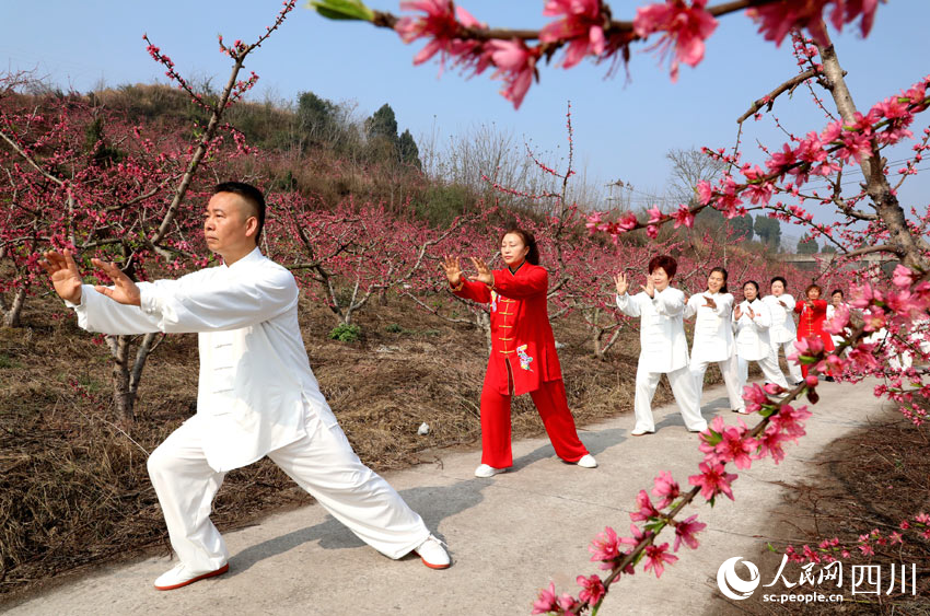 游客在桃花丛中练太极拳。潘建勇摄