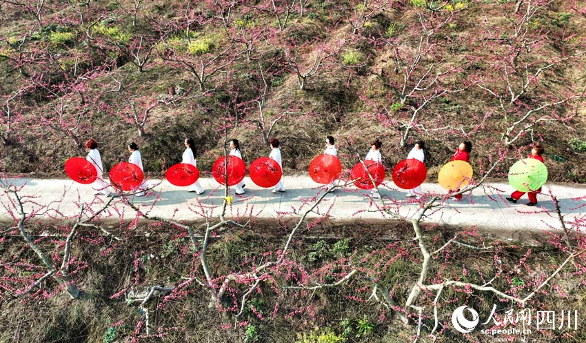 游客在桃花丛中排练节目。潘建勇摄