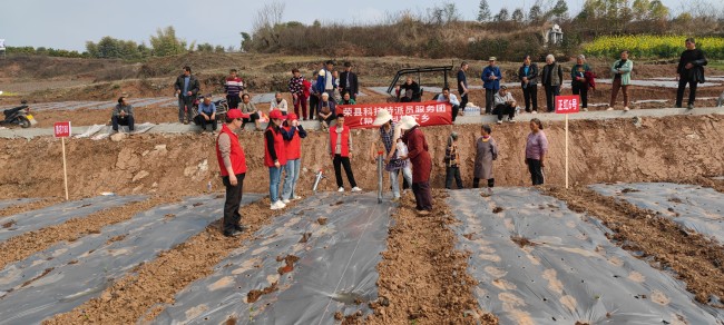 科技特派团专家下乡。蒋兵供图