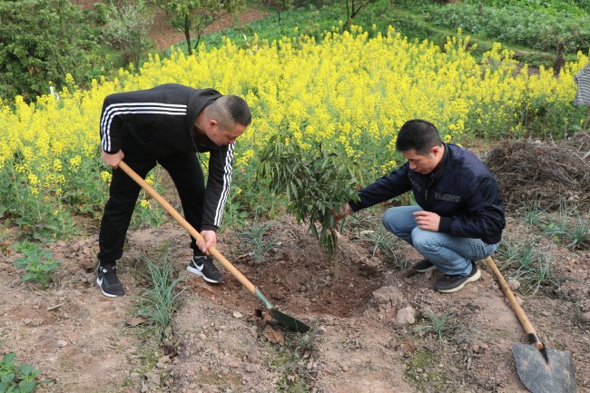植樹活動。江南科技產業園供圖