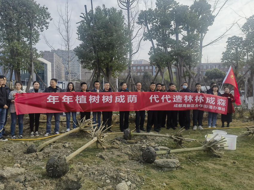成都高新区合作街道办事处合影。高新区生态环境和城市管理局供图