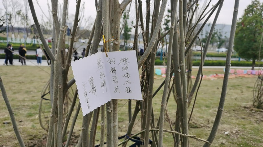 写下种树标签。高新区生态环境和城市管理局供图