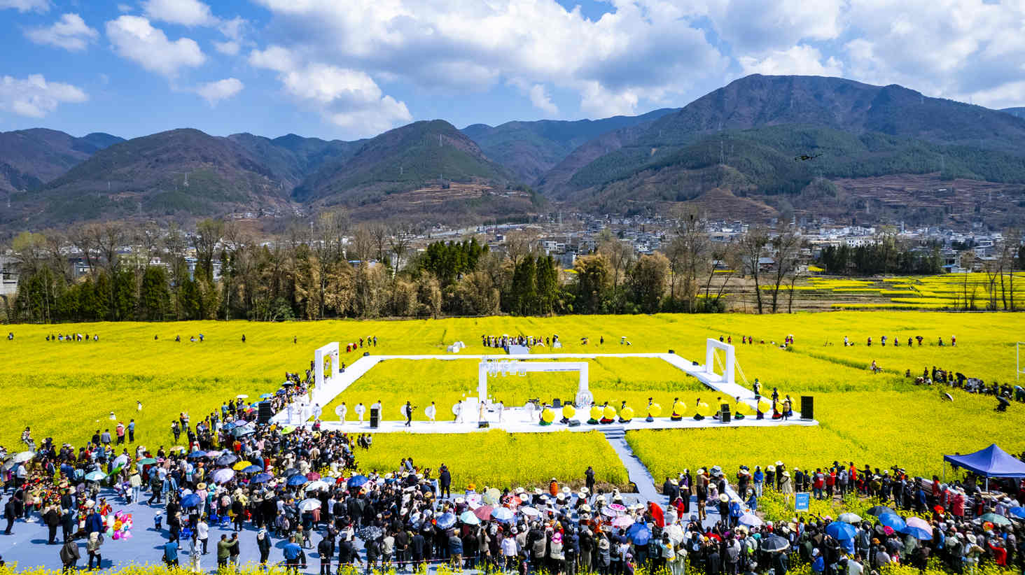 越西油菜花节活动现场。越西文广旅游局供图