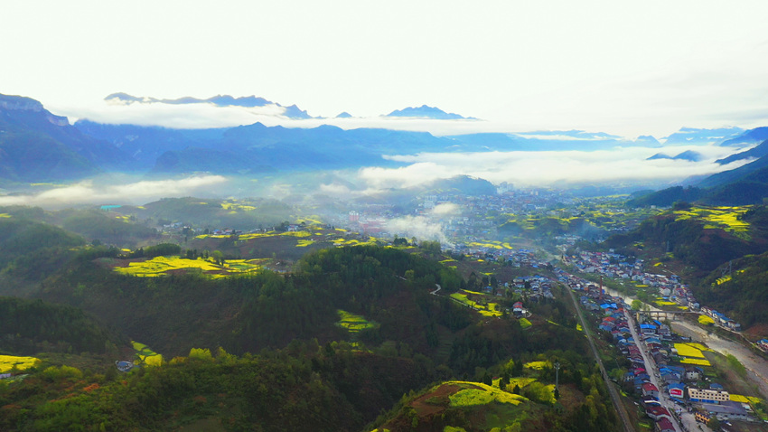 扮靓大地的油菜花。万源市融媒体中心供图