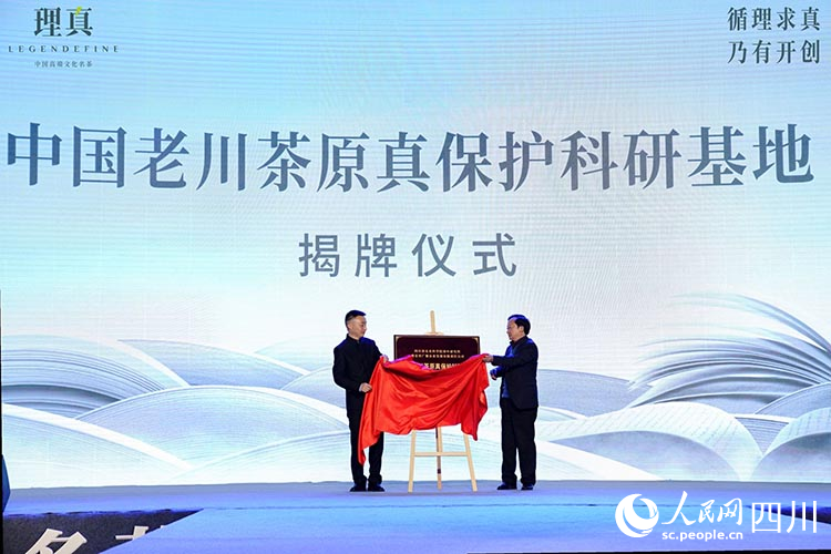 中国老川茶原真保护科研基地揭牌仪式。闵强摄