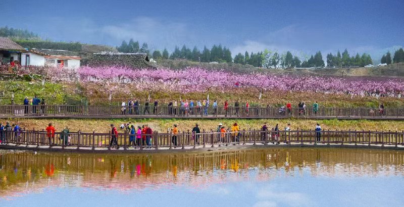 活動現場。西充縣委宣傳部供圖
