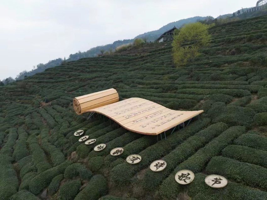 图为雅安蒙顶山。主办方供图