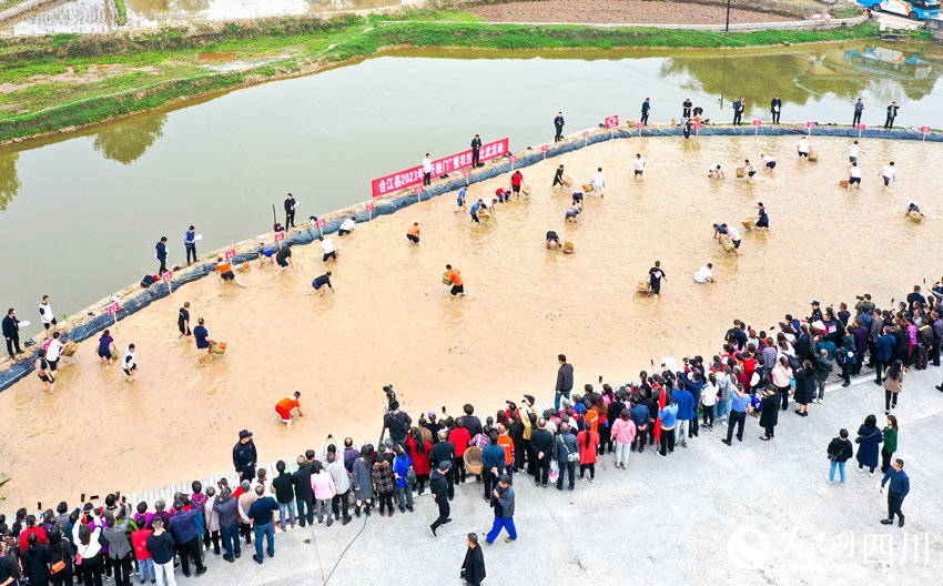 抓鱼比赛。李贵平摄