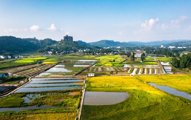 长山镇五通坝。虞芳琳供图