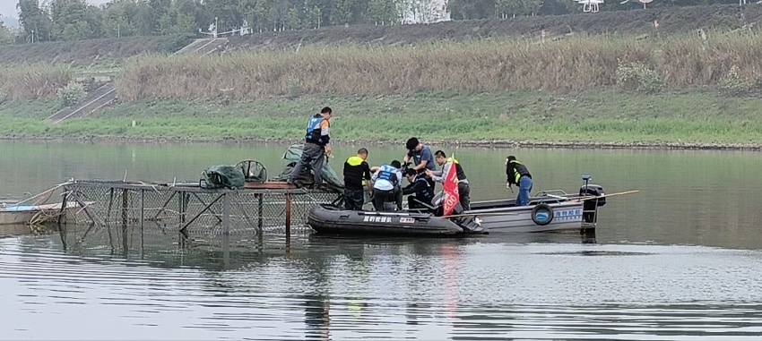 科研人员在水中作业。宜宾广播电视台供图