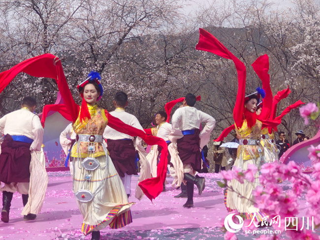 “聖潔甘孜·花開得榮”桃花季、紅酒季系列文旅活動舉行。徐婷婷攝