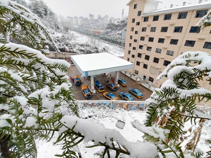 “气”站松雪间。艾刚摄