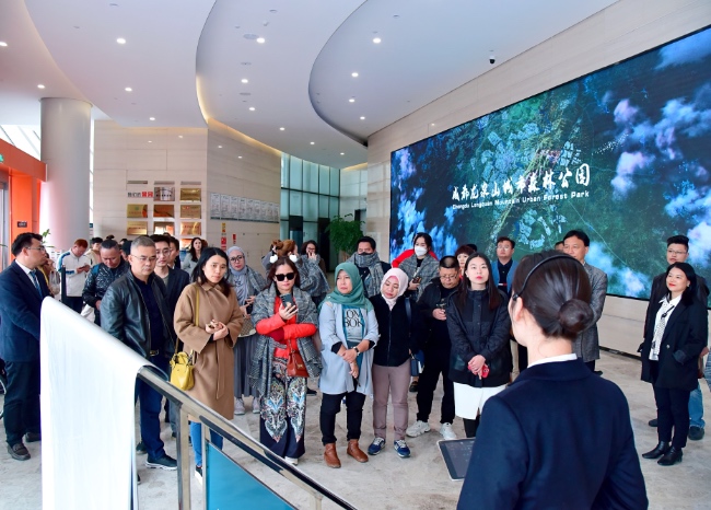 采风团成员在成都。主办方供图