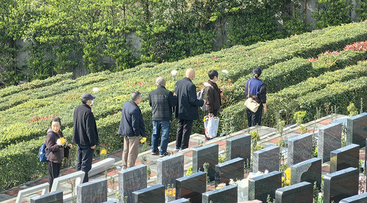 市民提著鮮花在公墓祭拜逝者。綿竹市融媒體中心供圖