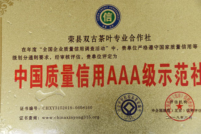 荣县双古茶叶专业合作社。蒋兵供图