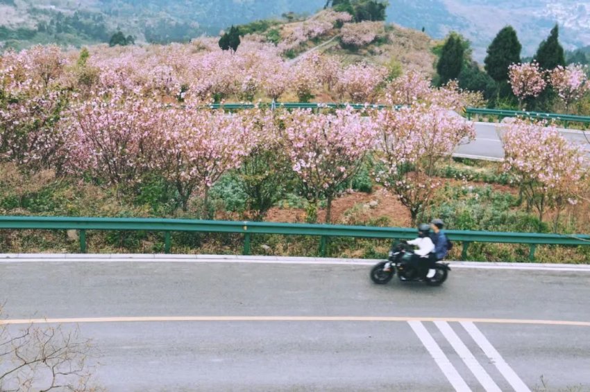 图为永兴街道景观。永兴街道供图