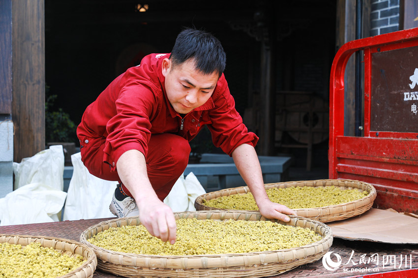 工人在整理已发酵完成的酱料，准备运往晒场入缸。李贵平摄