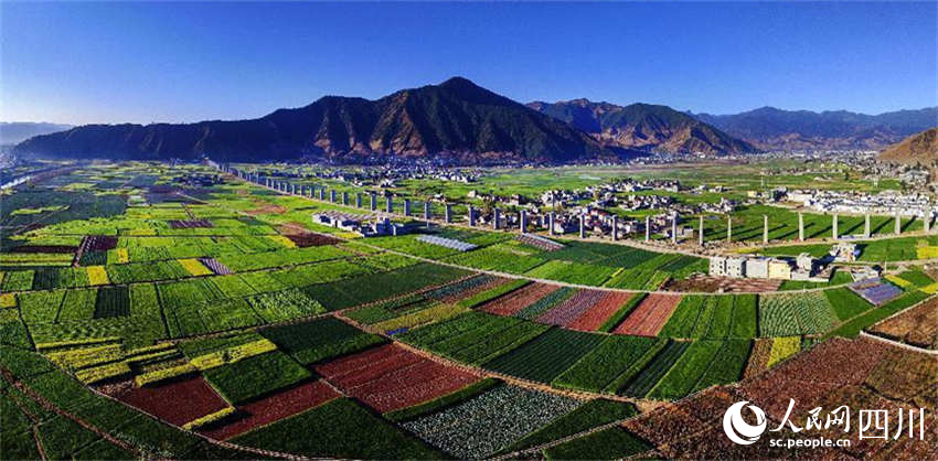 美丽家园。钟玉成摄