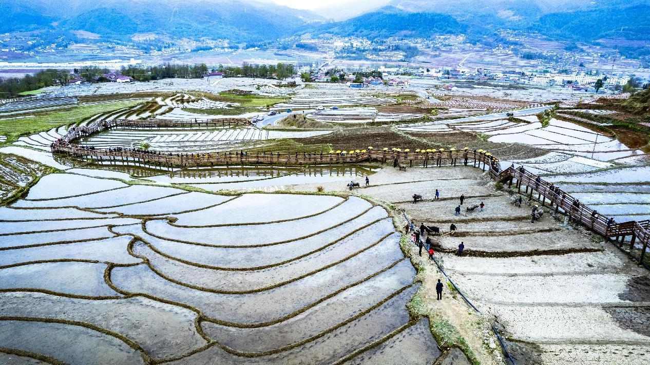 航拍五彩梯田。越西县文广旅局供图