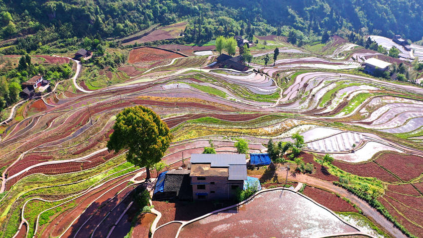 層疊的梯田。張磊攝