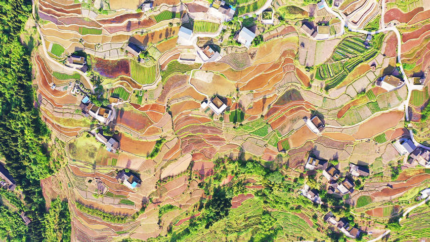 万亩梯田释放“绿色能量”。钟旭娟摄