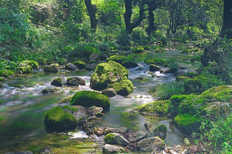 麻柳沟实景。利州区委宣传部供图