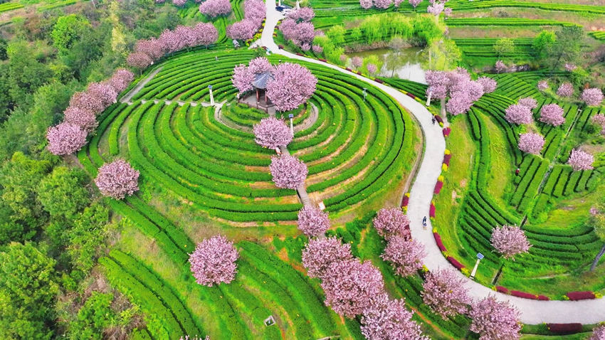三十二梁景区。平昌县委宣传部供图