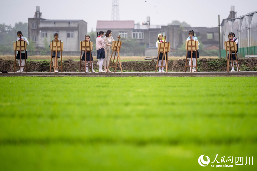 在老师指导下，学生们在秧田中写生。翁光建摄