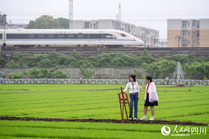 在老师指导下，学生们在秧田中写生。翁光建摄