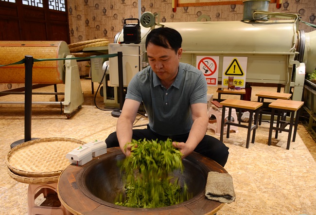 刘明钦正在制茶。虞芳琳供图