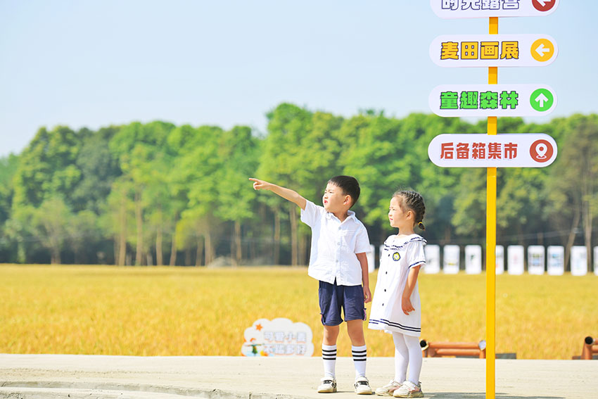 走，去彭镇。双流区委宣传部供图