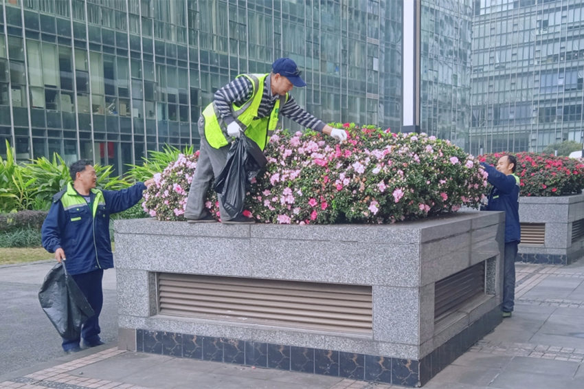 工作中的園林工人。高新區生態環境城管局供圖