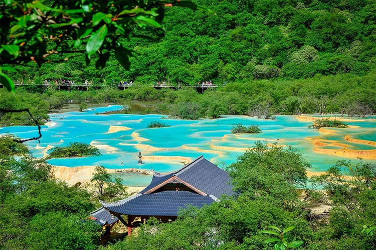 黄龙景区中的五彩池。黄管局供图