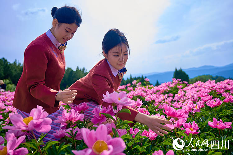 游客在花圃摘花。张文良摄