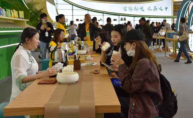 茶博会现场。丁文君供图