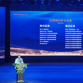 王增恂重慶市文旅委一級巡視員發布“新時代成渝影視文化產業高質量發展十大創新案例”