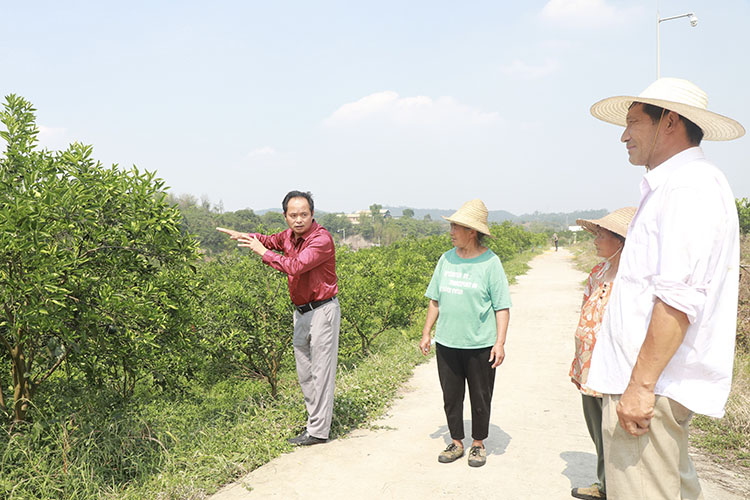 技術負責人為農戶講解病虫害防治技巧。翠屏區融媒體中心供圖