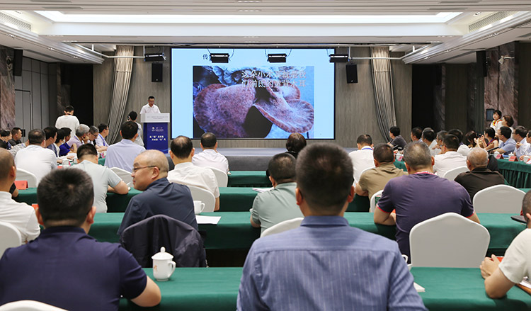 专家介绍黄背木耳。什邡市委宣传部供图