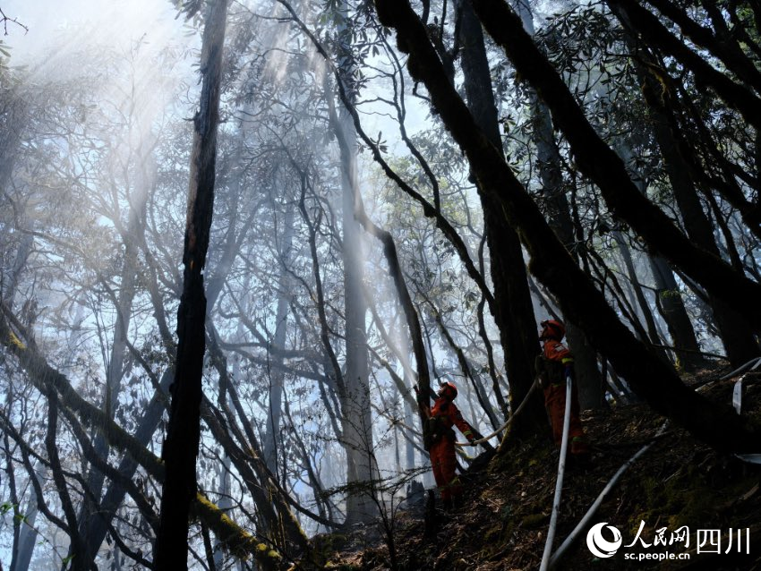 5月31日，四川涼山，成都森林消防大隊一中隊三級消防長侯正超正在木裡火場清理煙點。程雪力攝