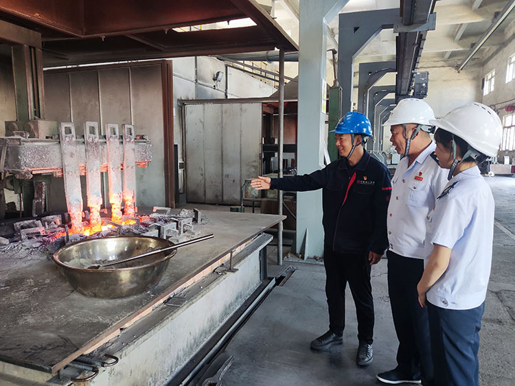 工作人员向税务干部介绍稀土电解流程。凉山州税务局供图