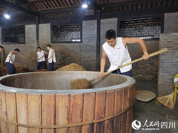 技术工人正在铺撒酒糟。人民网记者 王波摄