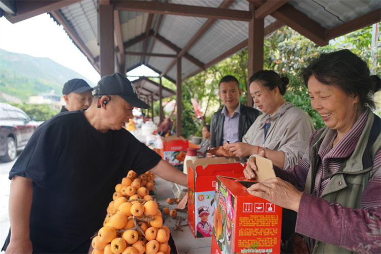 游客正在购买茂县枇杷。李楚阳 摄
