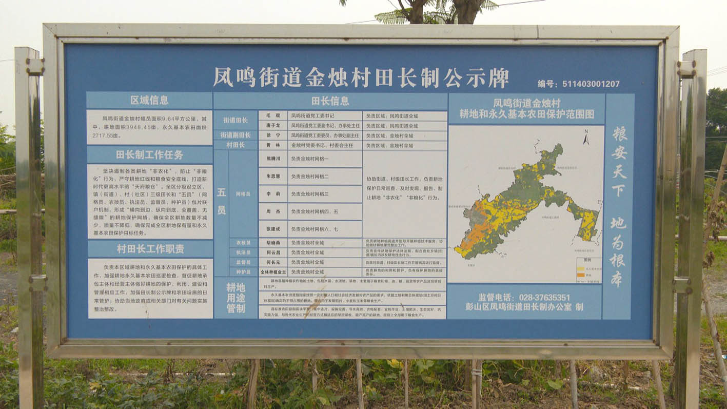 凤鸣街道金烛村田长制公示牌。彭山区委宣传部供图