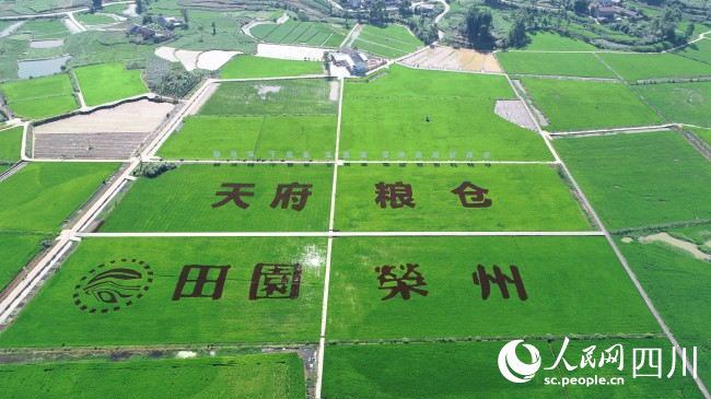观山镇赖河坝现代农业园区。周红极摄